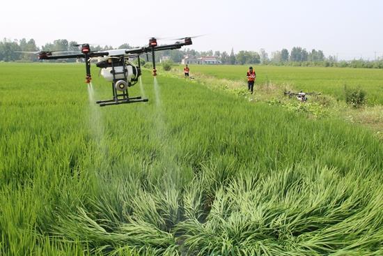 植保草莓视频APP下载安装安卓安全操作注意事项