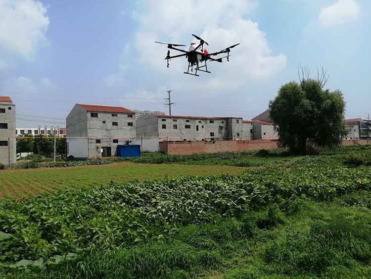 农业植保草莓视频APP下载安装安卓优势